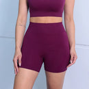 Conjunto de Shorts Feminino Sem Costura – 2 Peças para Yoga